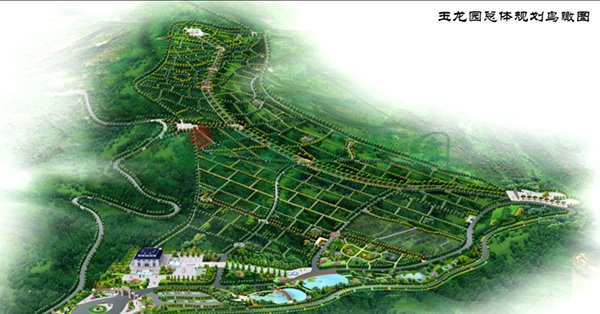 鸿运国际·(中国)集团-鸿运官网接待你