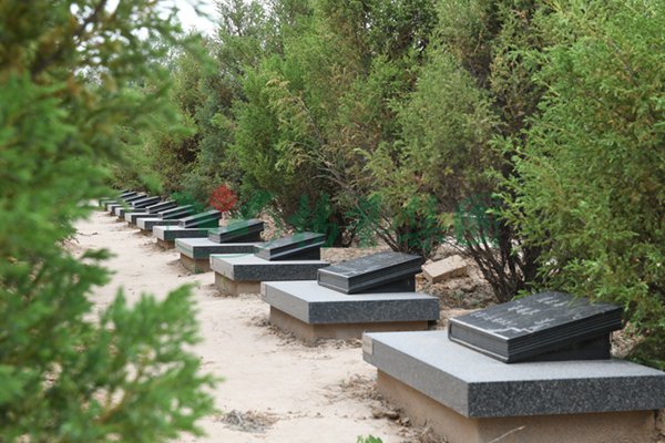 鸿运国际·(中国)集团-鸿运官网接待你