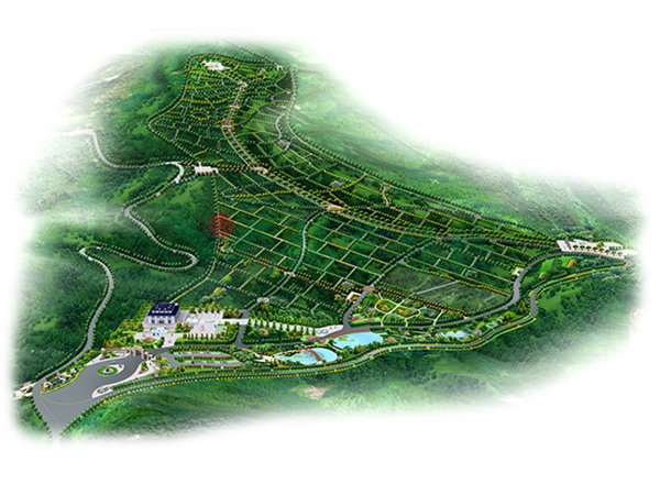 鸿运国际·(中国)集团-鸿运官网接待你