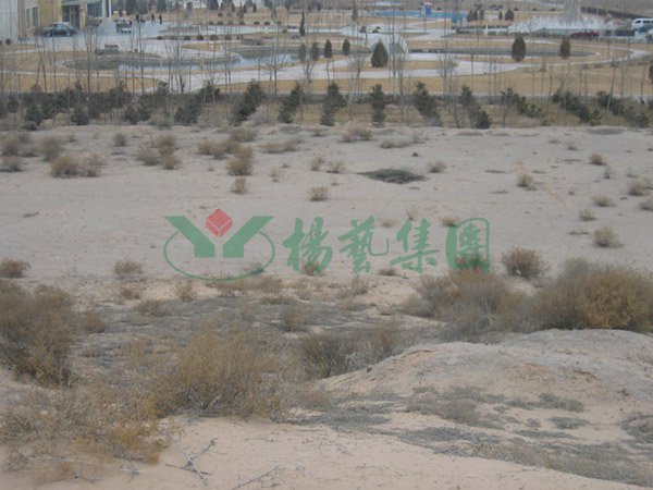 鸿运国际·(中国)集团-鸿运官网接待你