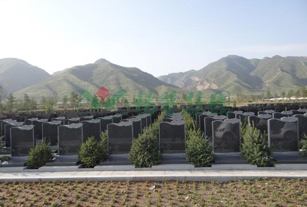 鸿运国际·(中国)集团-鸿运官网接待你