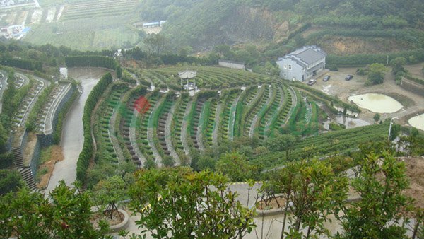 鸿运国际·(中国)集团-鸿运官网接待你