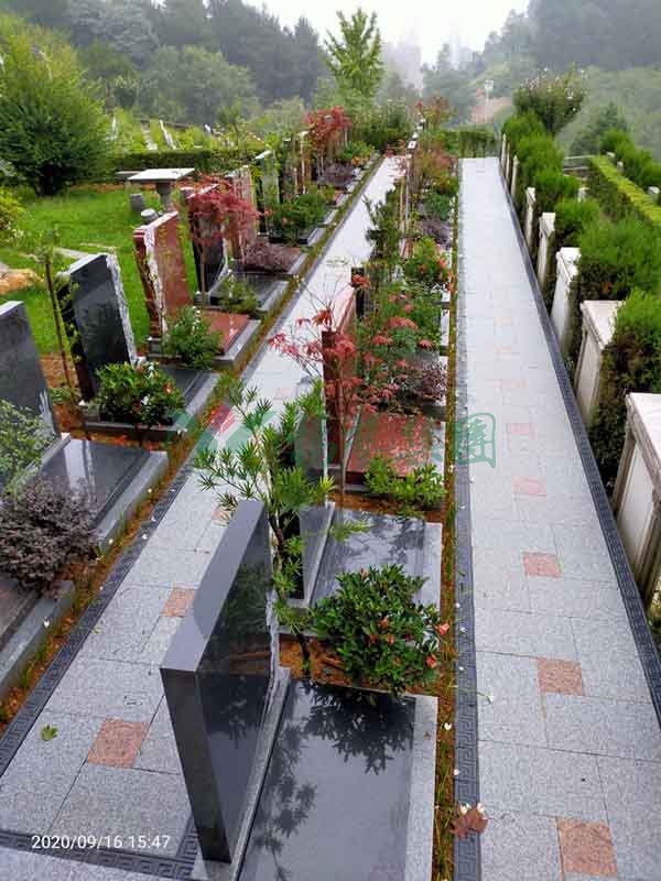 鸿运国际·(中国)集团-鸿运官网接待你