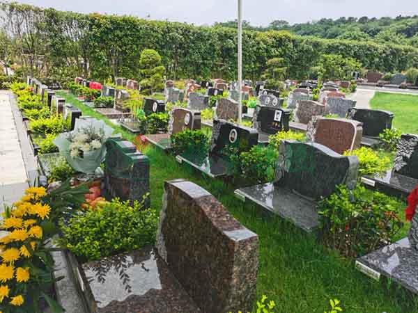 鸿运国际·(中国)集团-鸿运官网接待你