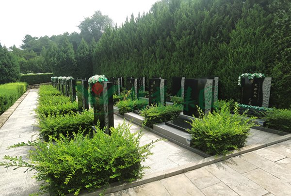 鸿运国际·(中国)集团-鸿运官网接待你