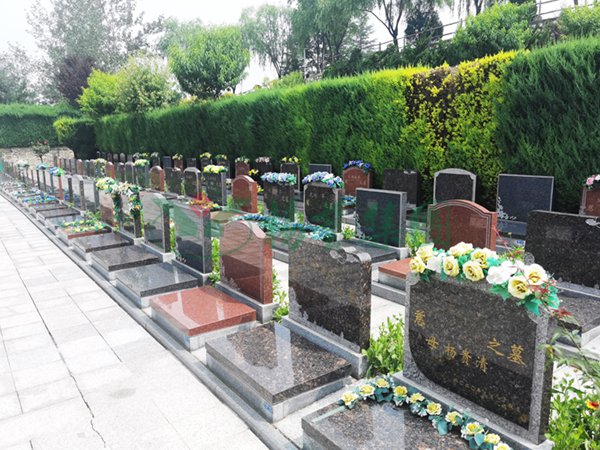 鸿运国际·(中国)集团-鸿运官网接待你