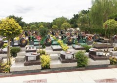 上海；；；；；懔靶腔鹎