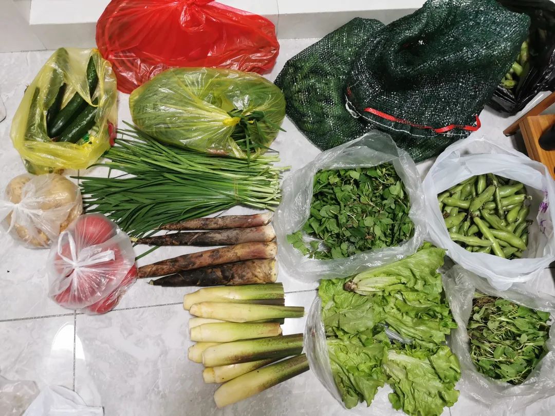 鸿运国际·(中国)集团-鸿运官网接待你