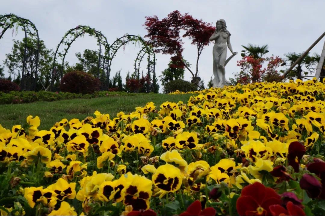 鸿运国际·(中国)集团-鸿运官网接待你