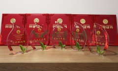 “鸿运国际杯”浙江省节地生态埋葬设计作品奖