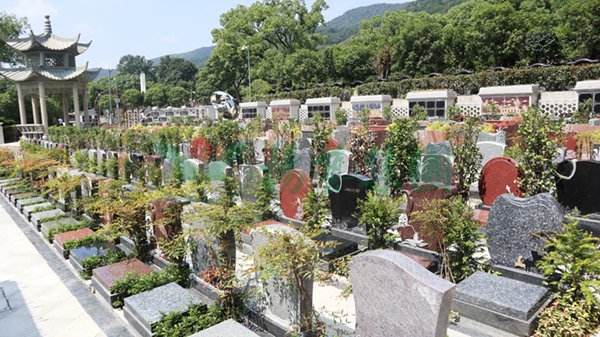 鸿运国际·(中国)集团-鸿运官网接待你