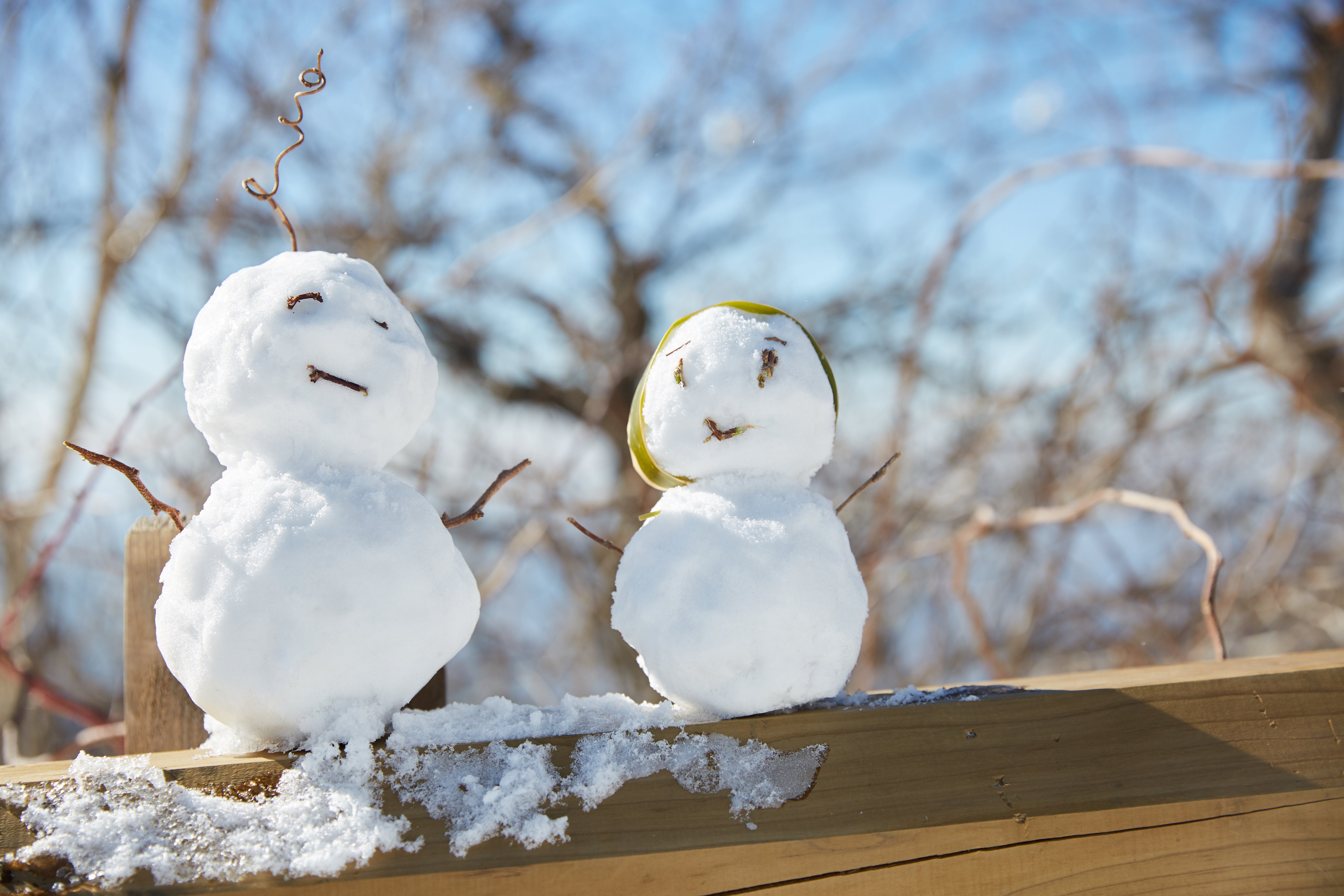 冬至，，，，，暖“杨”相伴 | 鸿运国际人全力配合各墓园冬至落葬