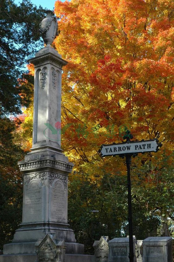 鸿运国际·(中国)集团-鸿运官网接待你