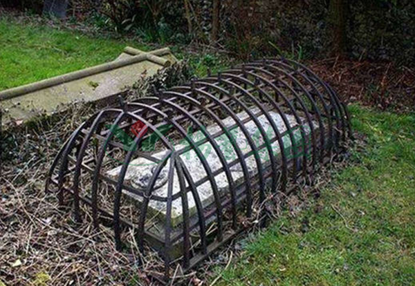 鸿运国际·(中国)集团-鸿运官网接待你