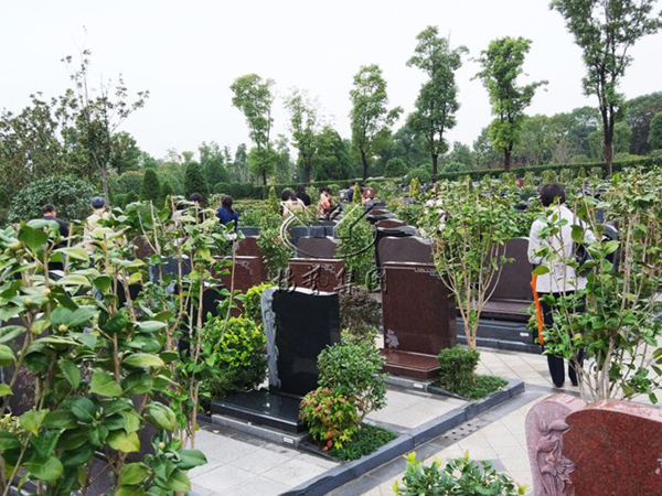 鸿运国际·(中国)集团-鸿运官网接待你