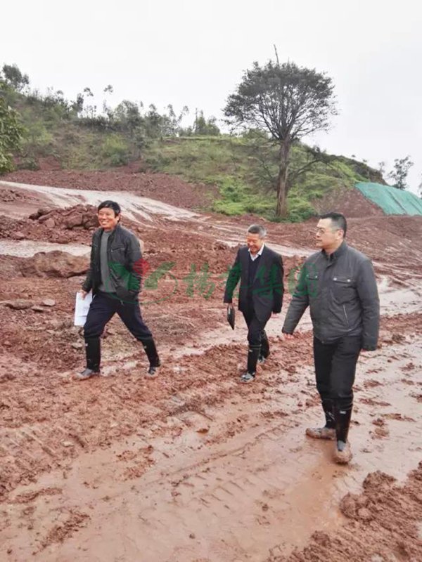 鸿运国际·(中国)集团-鸿运官网接待你