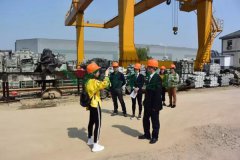 鸿运国际集团匠心打造景观雕塑型生产基地