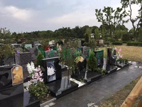 鸿运国际·(中国)集团-鸿运官网接待你