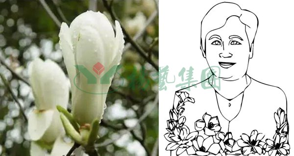 鸿运国际·(中国)集团-鸿运官网接待你