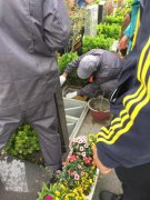 【鸿运国际人别样清明】2018年清明落葬事情圆满完成