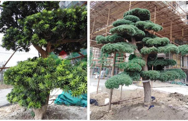 鸿运国际·(中国)集团-鸿运官网接待你