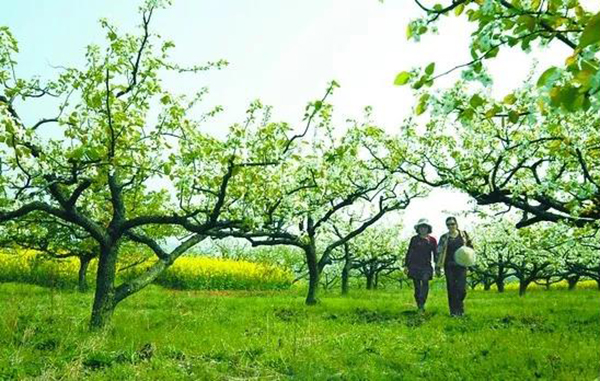 鸿运国际·(中国)集团-鸿运官网接待你