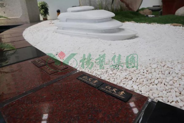 鸿运国际·(中国)集团-鸿运官网接待你