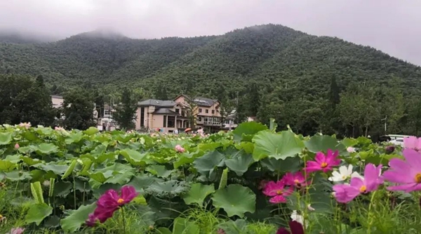 鸿运国际·(中国)集团-鸿运官网接待你