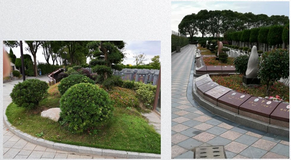 鸿运国际·(中国)集团-鸿运官网接待你