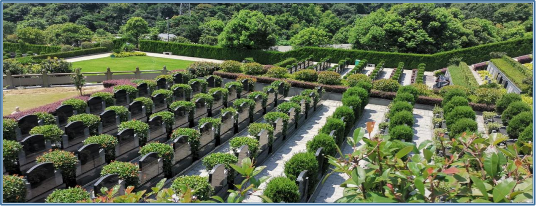 鸿运国际·(中国)集团-鸿运官网接待你