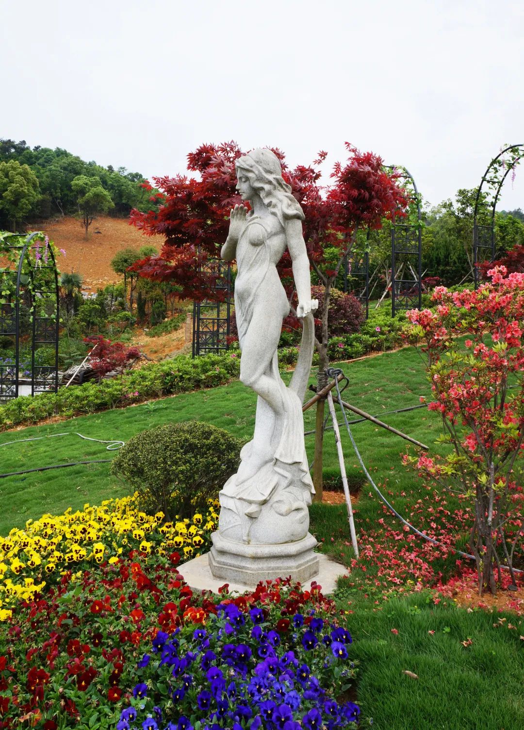 鸿运国际·(中国)集团-鸿运官网接待你