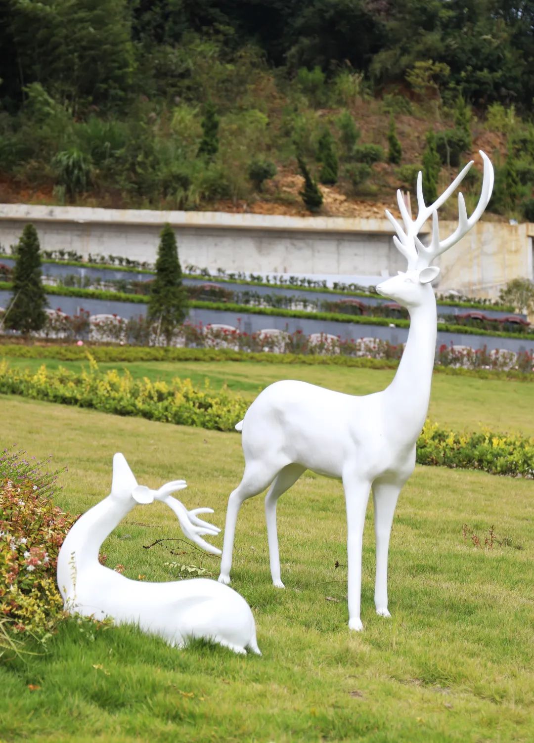 鸿运国际·(中国)集团-鸿运官网接待你