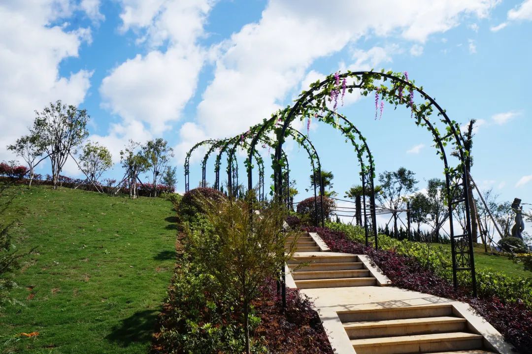 鸿运国际·(中国)集团-鸿运官网接待你