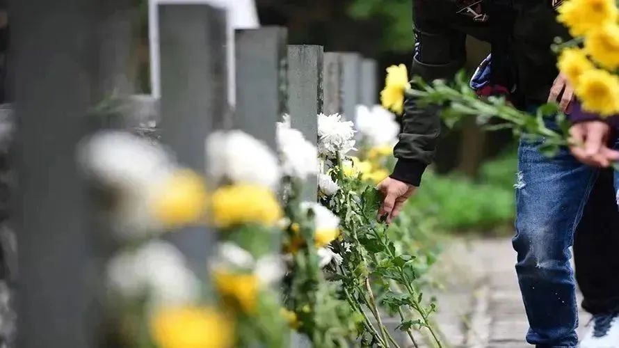 鸿运国际·(中国)集团-鸿运官网接待你