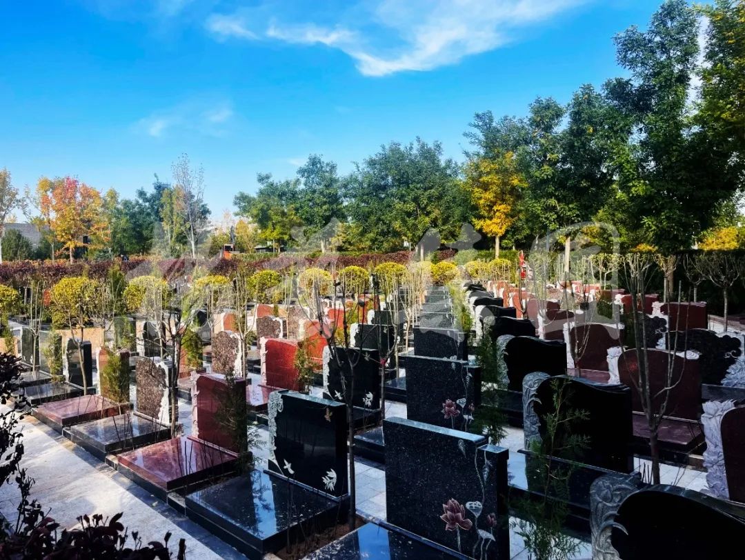 鸿运国际·(中国)集团-鸿运官网接待你