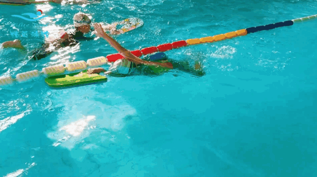 鸿运国际·(中国)集团-鸿运官网接待你