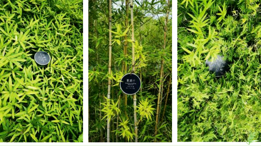 鸿运国际·(中国)集团-鸿运官网接待你