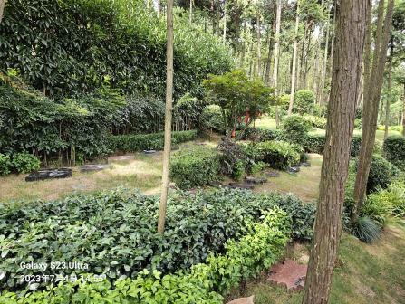 鸿运国际·(中国)集团-鸿运官网接待你