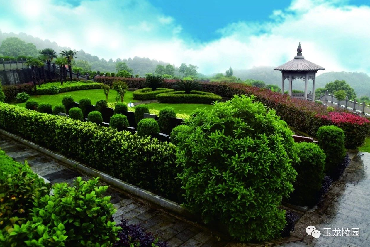 鸿运国际·(中国)集团-鸿运官网接待你