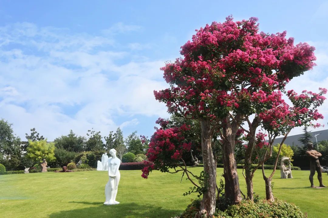 鸿运国际·(中国)集团-鸿运官网接待你
