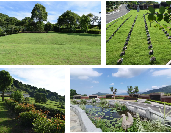 鸿运国际·(中国)集团-鸿运官网接待你