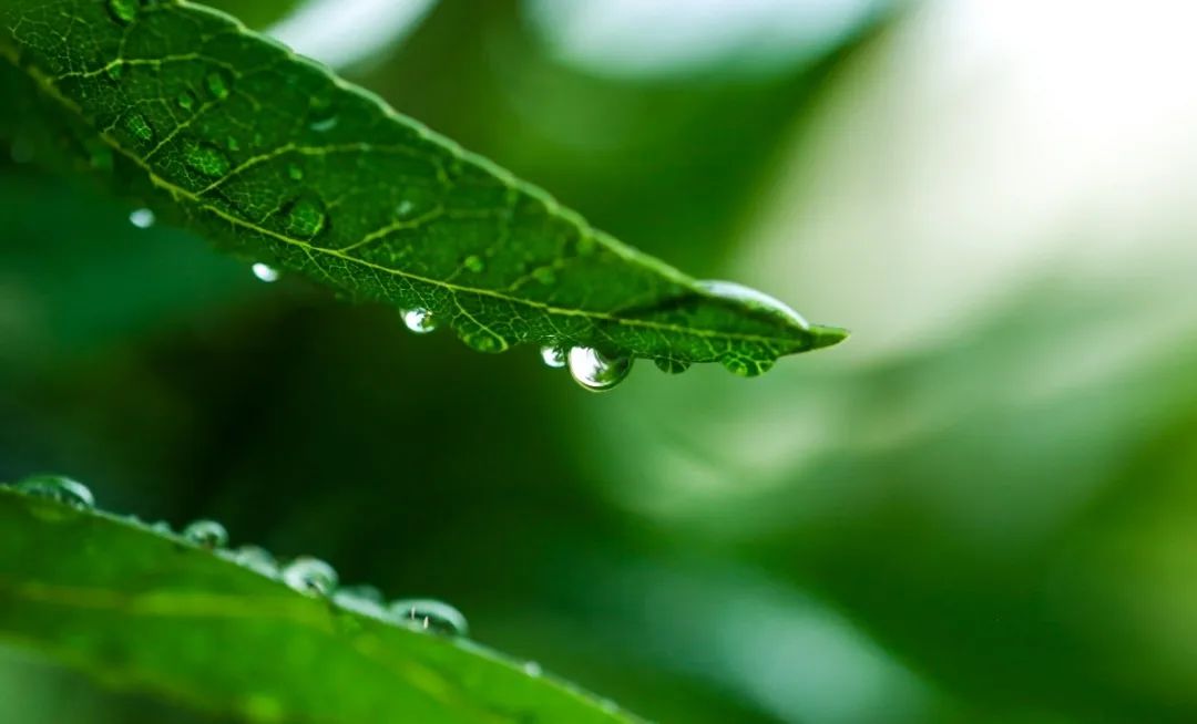 鸿运国际·(中国)集团-鸿运官网接待你