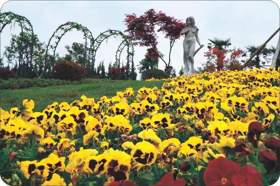 鸿运国际·(中国)集团-鸿运官网接待你