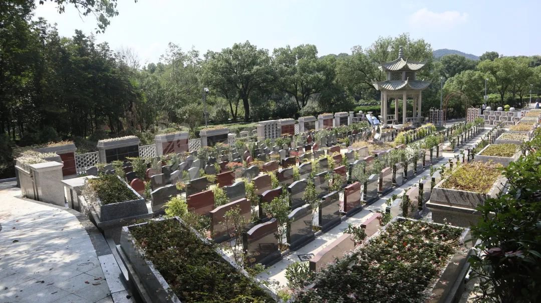 鸿运国际·(中国)集团-鸿运官网接待你