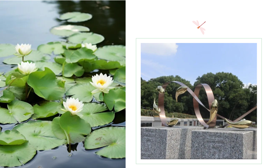 鸿运国际·(中国)集团-鸿运官网接待你