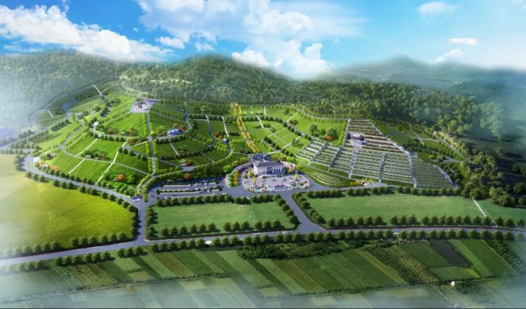 鸿运国际·(中国)集团-鸿运官网接待你