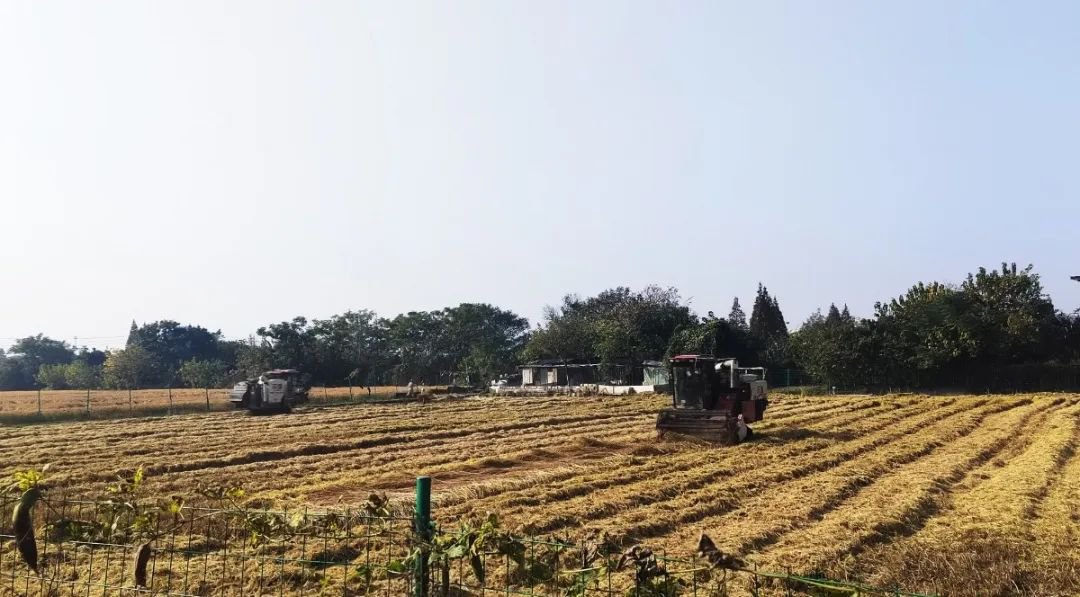 鸿运国际·(中国)集团-鸿运官网接待你