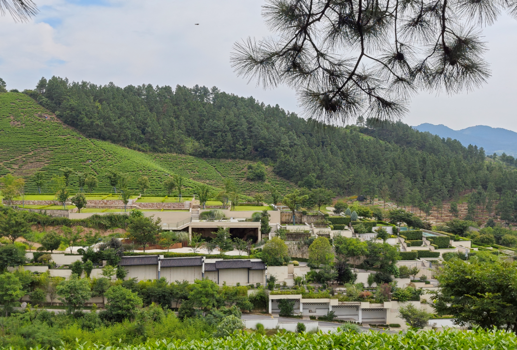 鸿运国际·(中国)集团-鸿运官网接待你