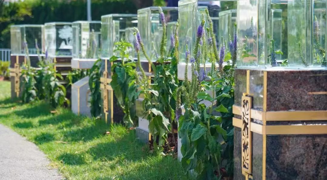 鸿运国际·(中国)集团-鸿运官网接待你