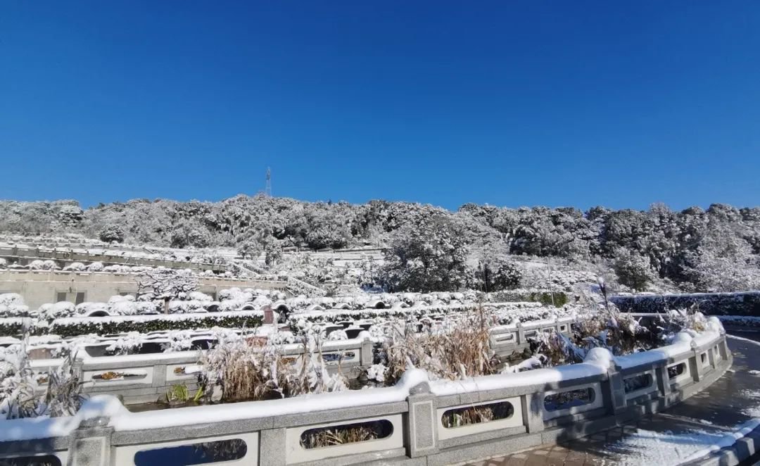 鸿运国际·(中国)集团-鸿运官网接待你